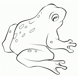 Online Printable Frog Coloring Pages   4G45S