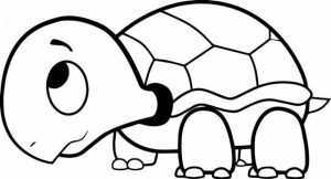 Online Printable Turtle Coloring Pages   rczoz