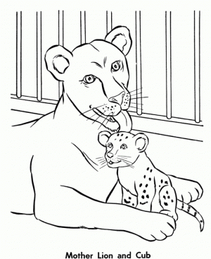 Online Printable Zoo Coloring Pages   49294