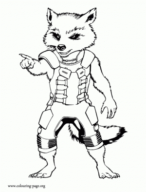 Online Raccoon Coloring Pages   50959