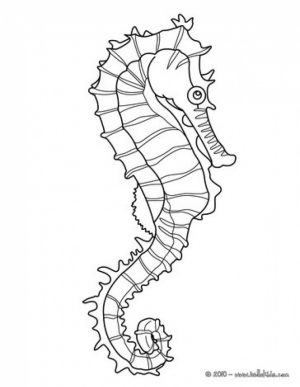 Online Seahorse Coloring Pages   13228