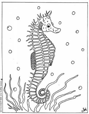 Online Seahorse Coloring Pages   34136