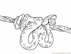 Online Snake Coloring Pages   28344