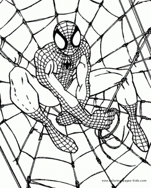 Online Spiderman Coloring Pages   289278