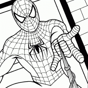Online Spiderman Coloring Pages   883929