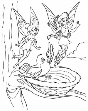 Online Tinkerbell Coloring Pages   40117