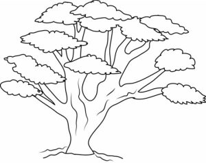 Online Tree Coloring Pages to Print   B9149