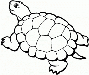 Online Turtle Coloring Pages for Kids   sz5em