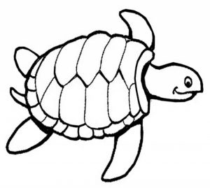 Online Turtle Coloring Pages to Print   swsyq