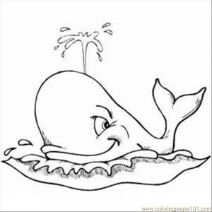 Online Whale Coloring Pages   88275