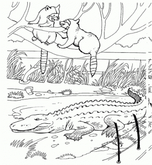 Online Zoo Coloring Pages for Children   70032