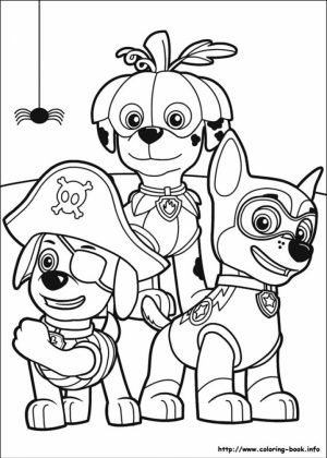 Paw Patrol Coloring Pages for Kids   15286