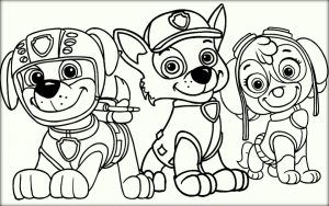 Paw Patrol Coloring Pages for Kids   73590