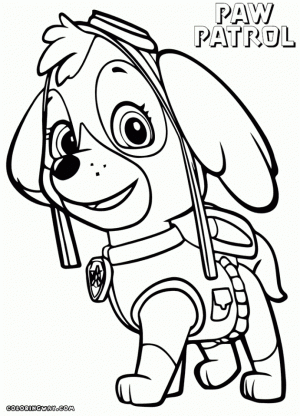 Paw Patrol Coloring Pages for Preschoolers   03762