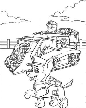 Paw Patrol Coloring Pages for Preschoolers   16382