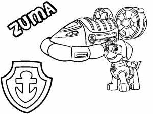 Paw Patrol Coloring Pages for Preschoolers   73256