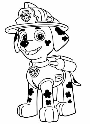 Paw Patrol Coloring Pages for Preschoolers   83693