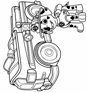 Paw Patrol Coloring Pages for Preschoolers   94614
