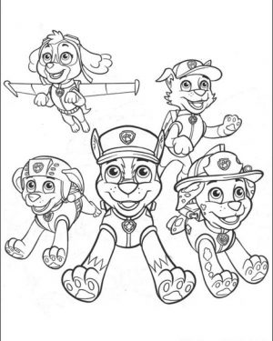 Paw Patrol Coloring Pages Free Printable   17359