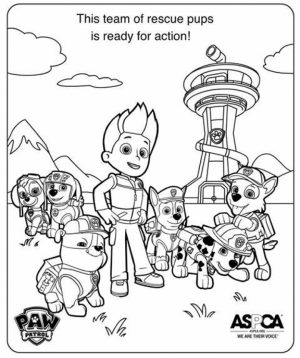 Paw Patrol Coloring Pages Free Printable   31743