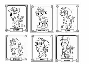 Paw Patrol Coloring Pages Free to Print   24163