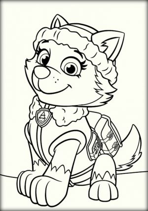 Paw Patrol Coloring Pages Free to Print   53867