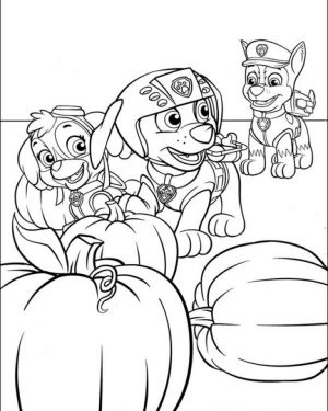 Paw Patrol Coloring Pages Free to Print   62046