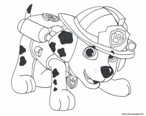 Paw Patrol Preschool Coloring Pages to Print Online   18034