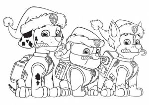 Paw Patrol Preschool Coloring Pages to Print Online   21704