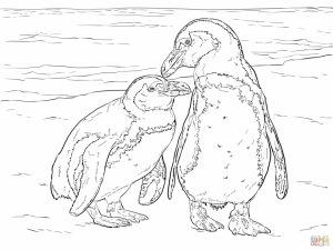 Penguin Coloring Pages for Adults Free to Print   20561