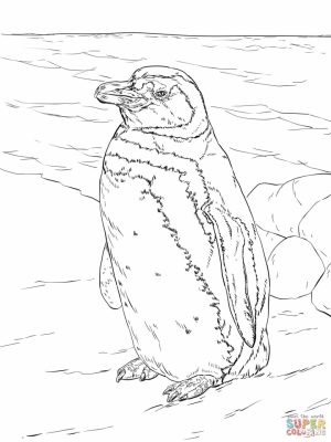 Penguin Coloring Pages for Adults Free to Print   29804