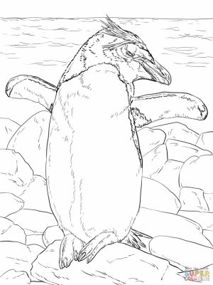 Penguin Coloring Pages for Adults Free to Print   90591