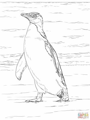 Penguin Coloring Pages for Adults Printable   48931