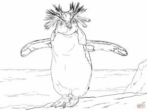 Penguin Coloring Pages for Adults Printable   54172