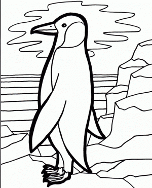 Penguin Coloring Pages Free Printable   31702