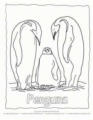 Penguin Coloring Pages Free to Print   66318