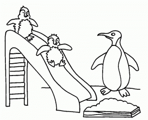 Penguin Coloring Pages Printable   26471