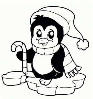 Penguin Coloring Pages Printable   66421