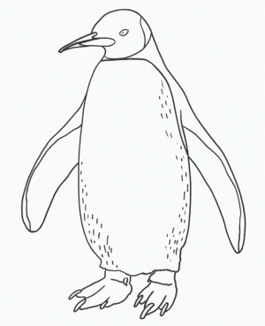 Penguin Coloring Pages Printable   78439