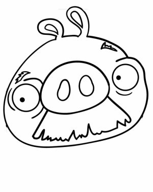 Picture of Angry Bird Coloring Pages Free for Children   S4lii