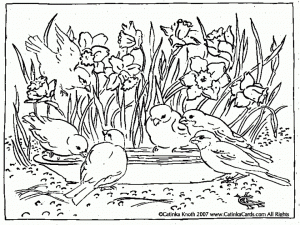 Picture of Spring Coloring Pages Free for Children   upmly