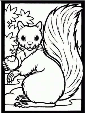 Picture of Squirrel Coloring Pages Free for Children   upmly
