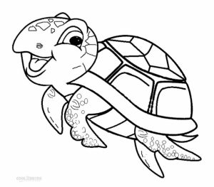 Picture of Turtle Coloring Pages Free for Children   upmly