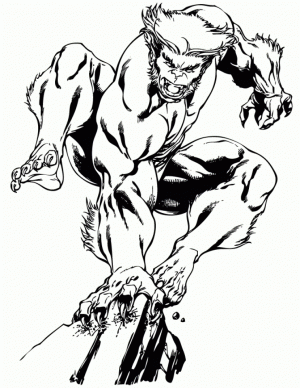 Picture of Wolverine Coloring Pages Free for Children   S4lii