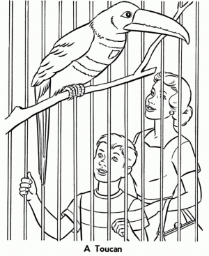 Picture of Zoo Coloring Pages Free for Children   32940