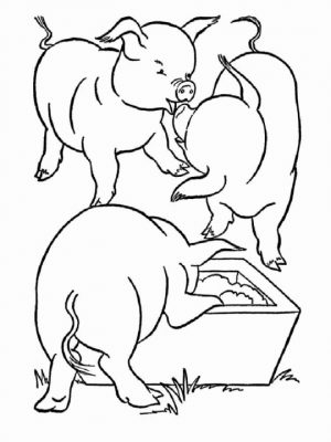 Pig Coloring Pages for Kids   36759