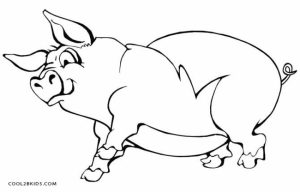 Pig Coloring Pages Printable   w2750