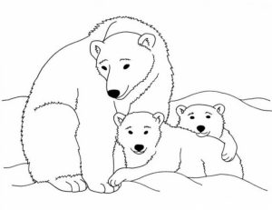 Polar Bear Coloring Pages Free to Print   j6hdb