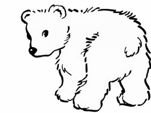 Polar Bear Coloring Pages Online Printable   nhywg