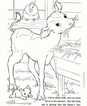 Preschool Farm Animal Coloring Pages to Print   nob6i
